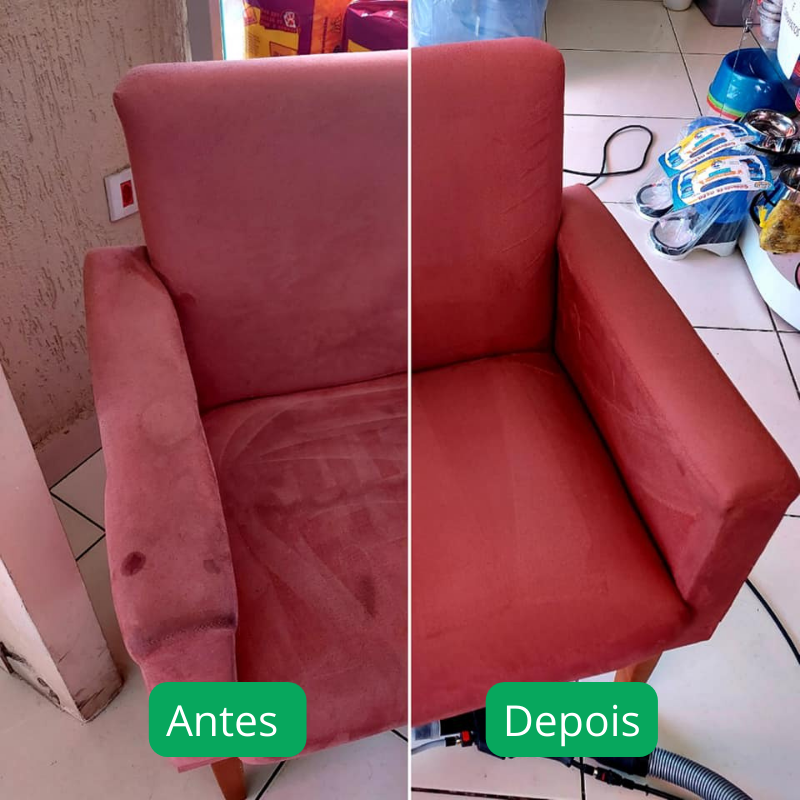 Imagens LP higienização (3)